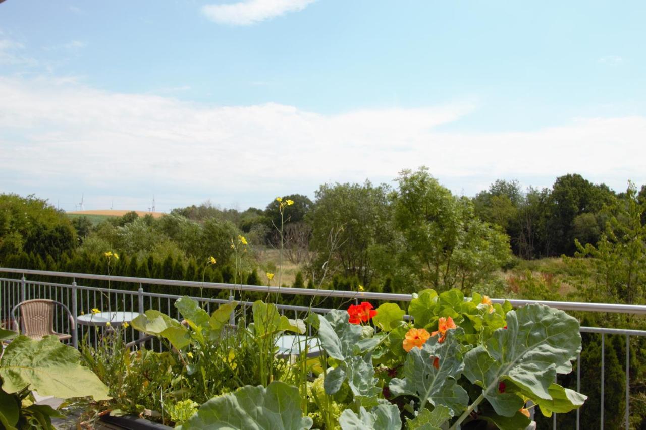 Zum Suessen Stollen Apartment Reinsfeld Bagian luar foto